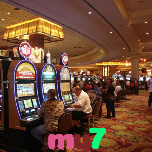  my7