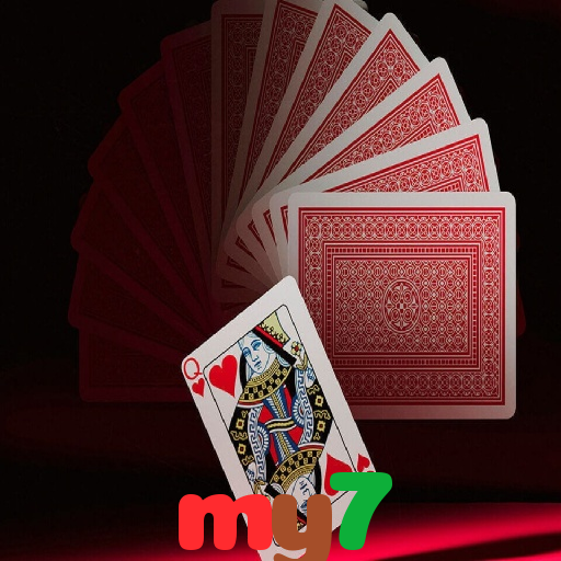  my7