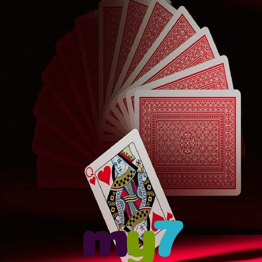  my7