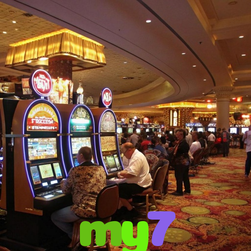  my7
