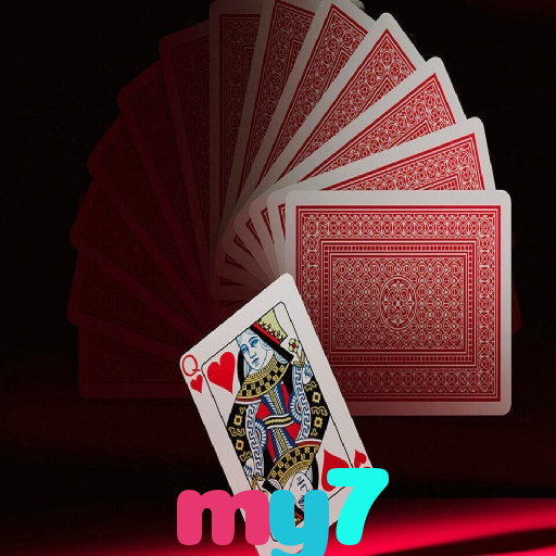  my7