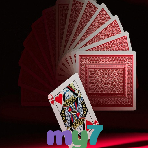  my7