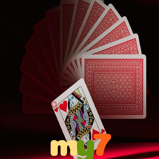  my7