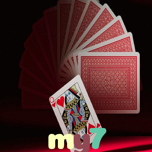  my7